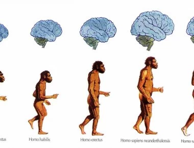 Στο «φως» τα λείψανα του αρχαιότερου Homo Sapiens εκτός Αφρικής